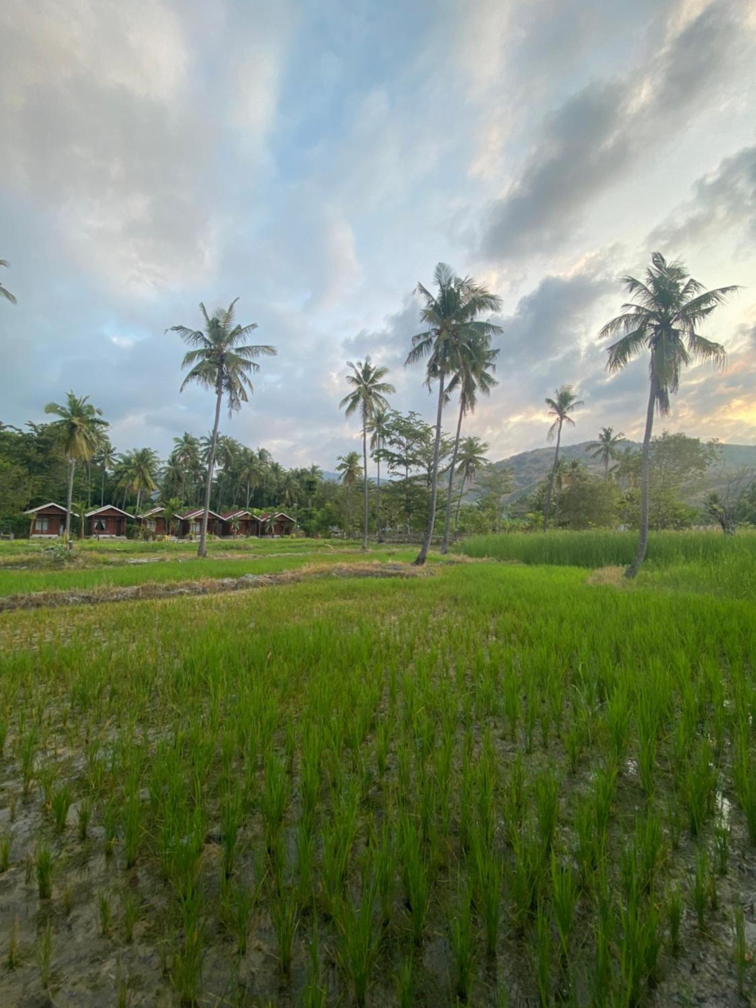 Nuna Bungalows Riung Exterior photo